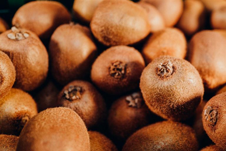 Unsere leckeren BioKiwis aus Italien